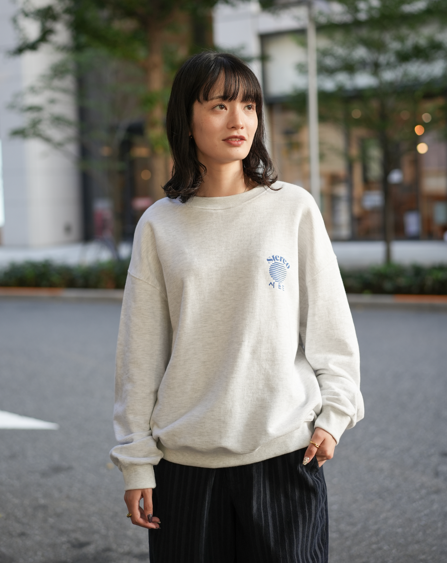 ロゴスウェットシャツ B4276