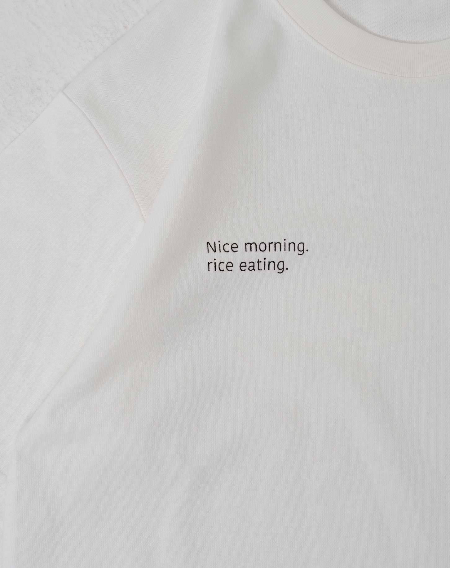 ツインロゴTシャツ B5099