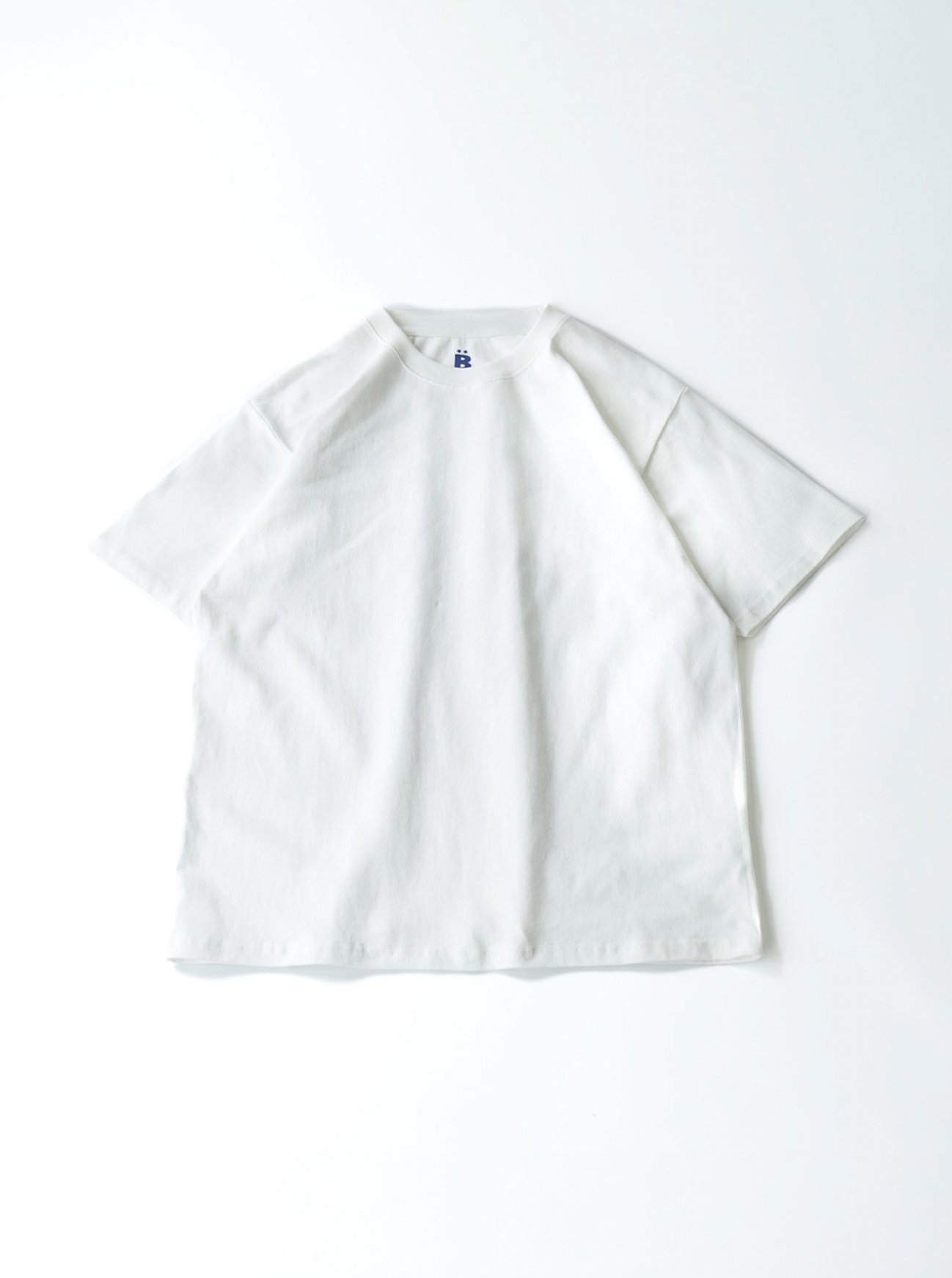 レギュラーフィットクルーネックT B5094